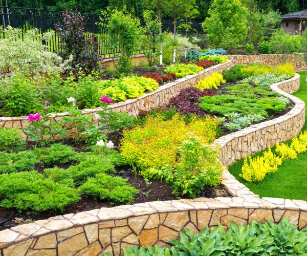 Landscaping and yard maintenance
